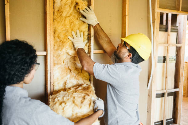 Best Soundproof Insulation Installation  in Beloit, KS
